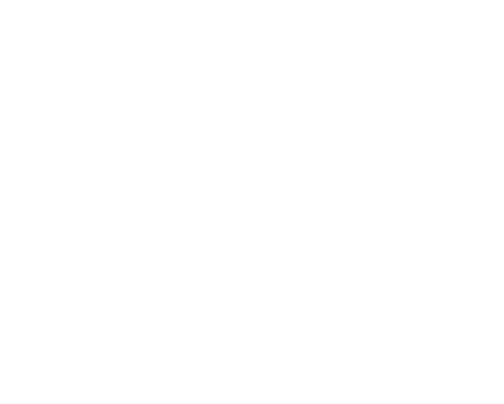 logo princess