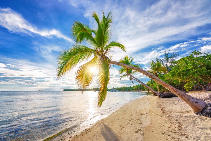 Vacaciones en Punta Cana - Temporada Baja desde US$1.790